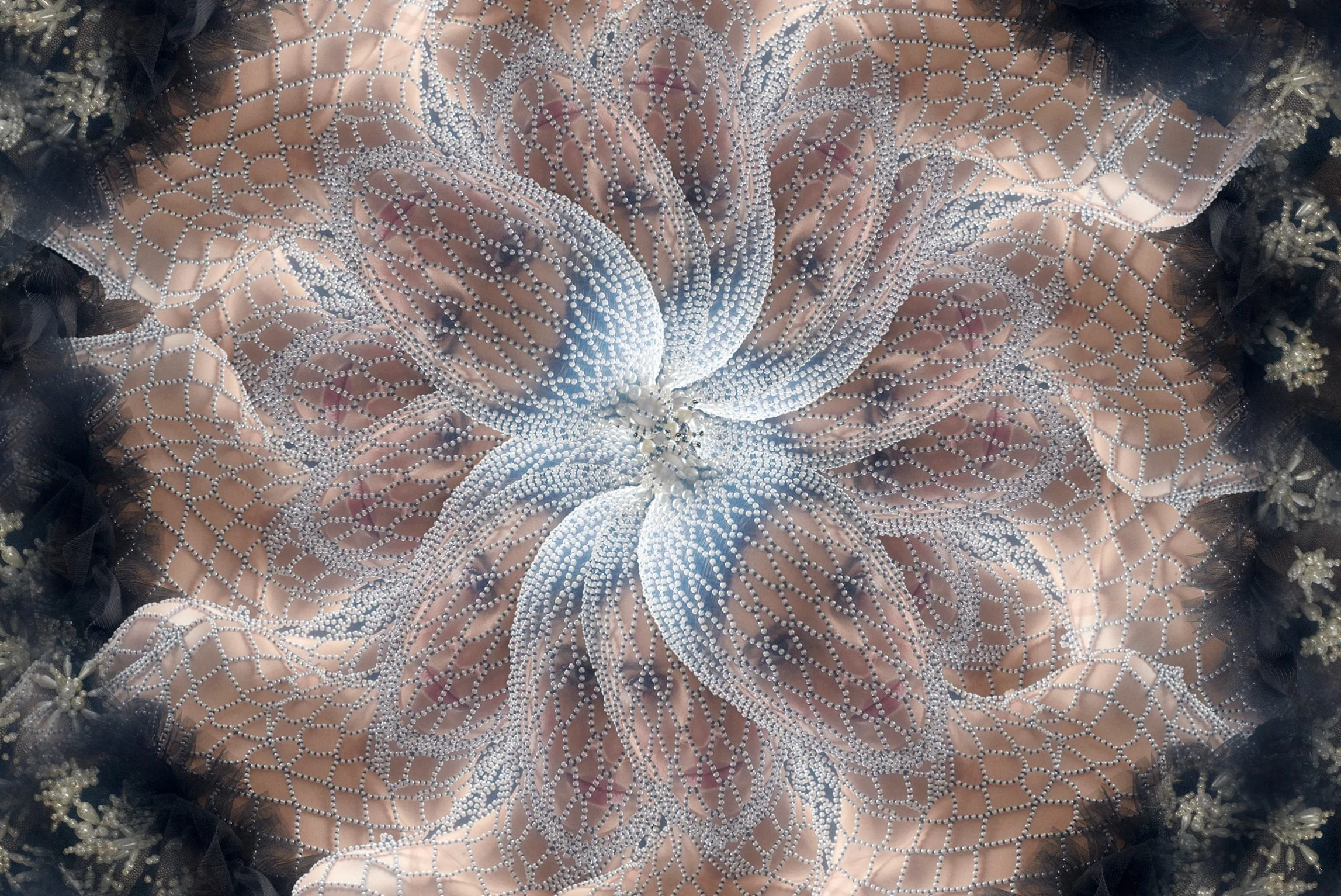 _DSC3726_mandala_5.jpg