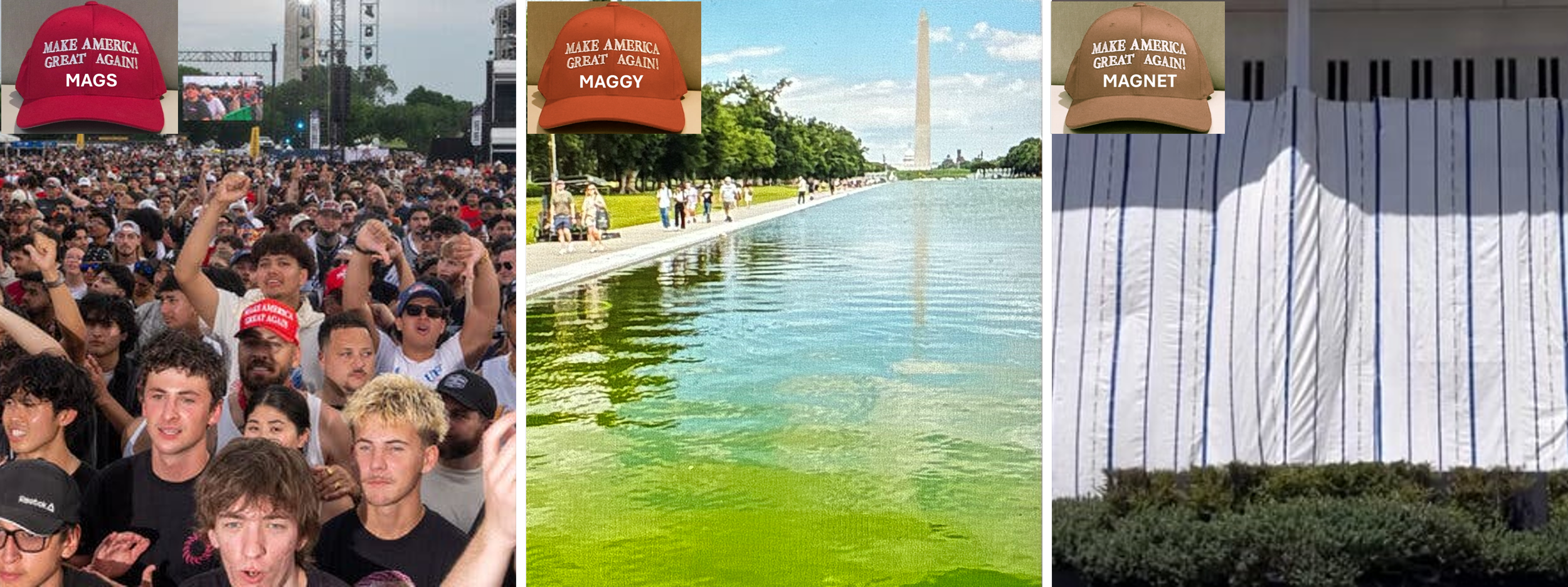 TRIPPIN' IN D.C.