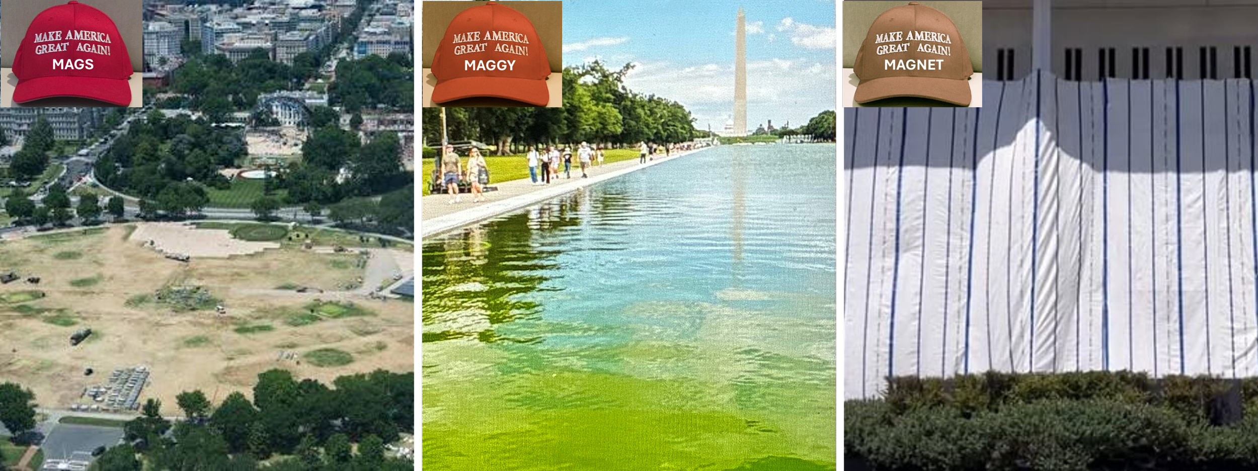 TRIPPIN' IN D.C.