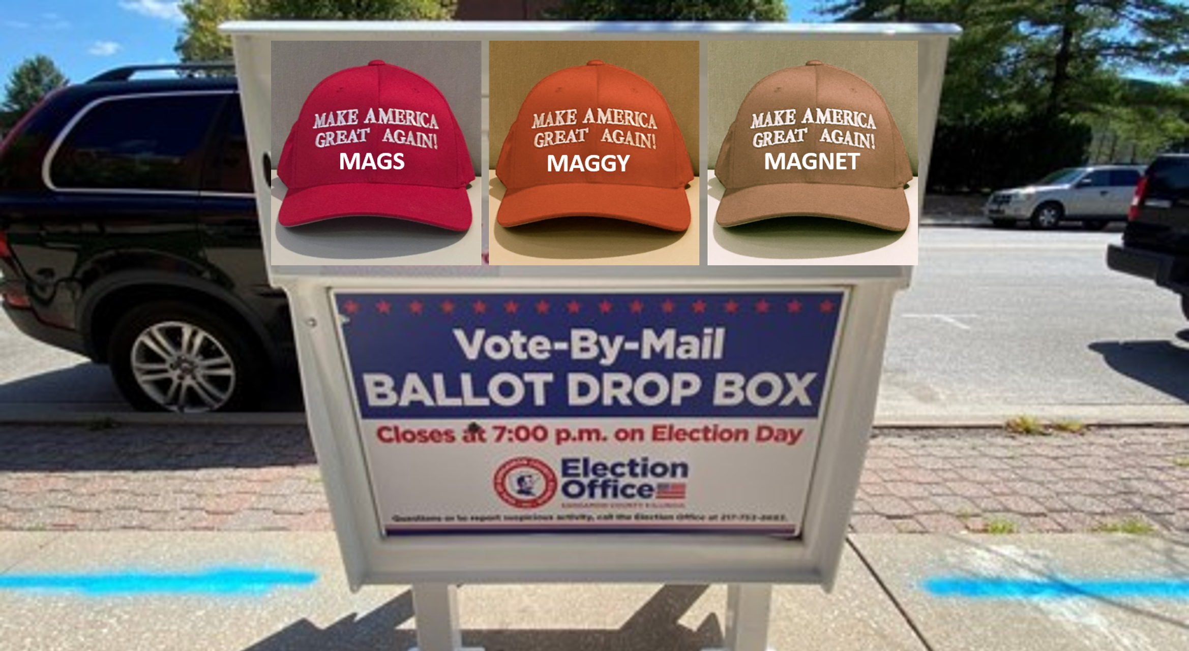 THE MAGAs VOTE