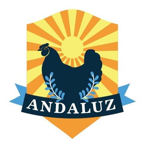 The third option I presented to the Andaluz family is more of a classic take on the same themes as the previous two - For this option, I used a strong serif font and a softer silhouette for the rooster. The sunshine becomes a bold graphic background 