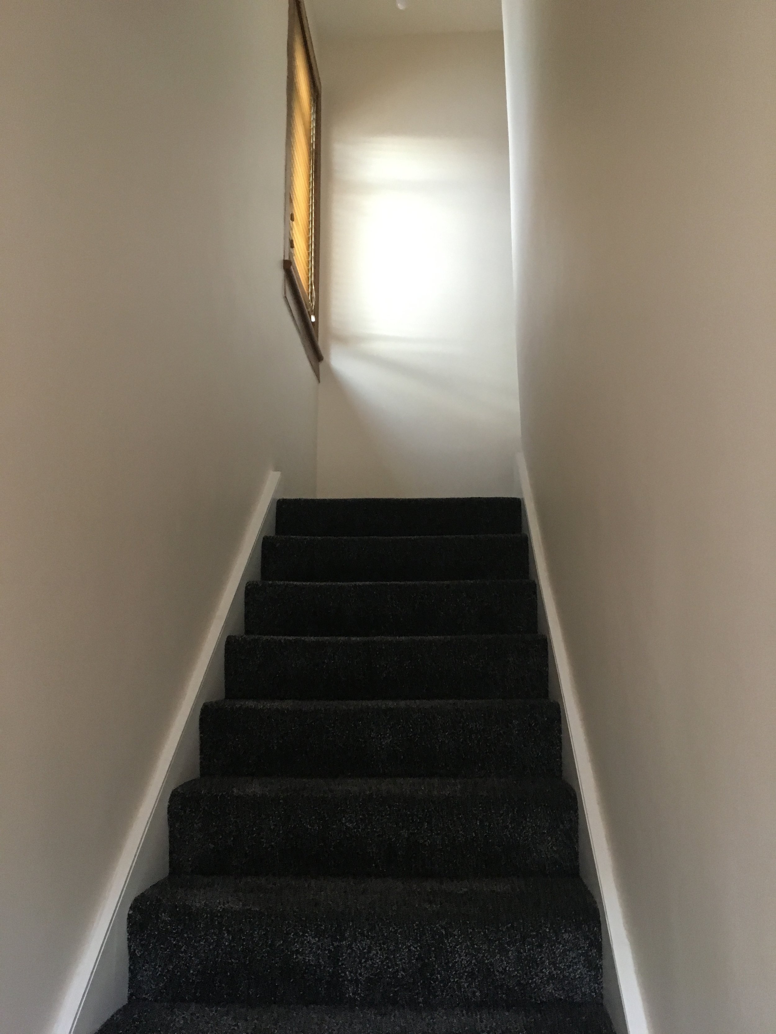 20170407_071413430_iOS.jpg