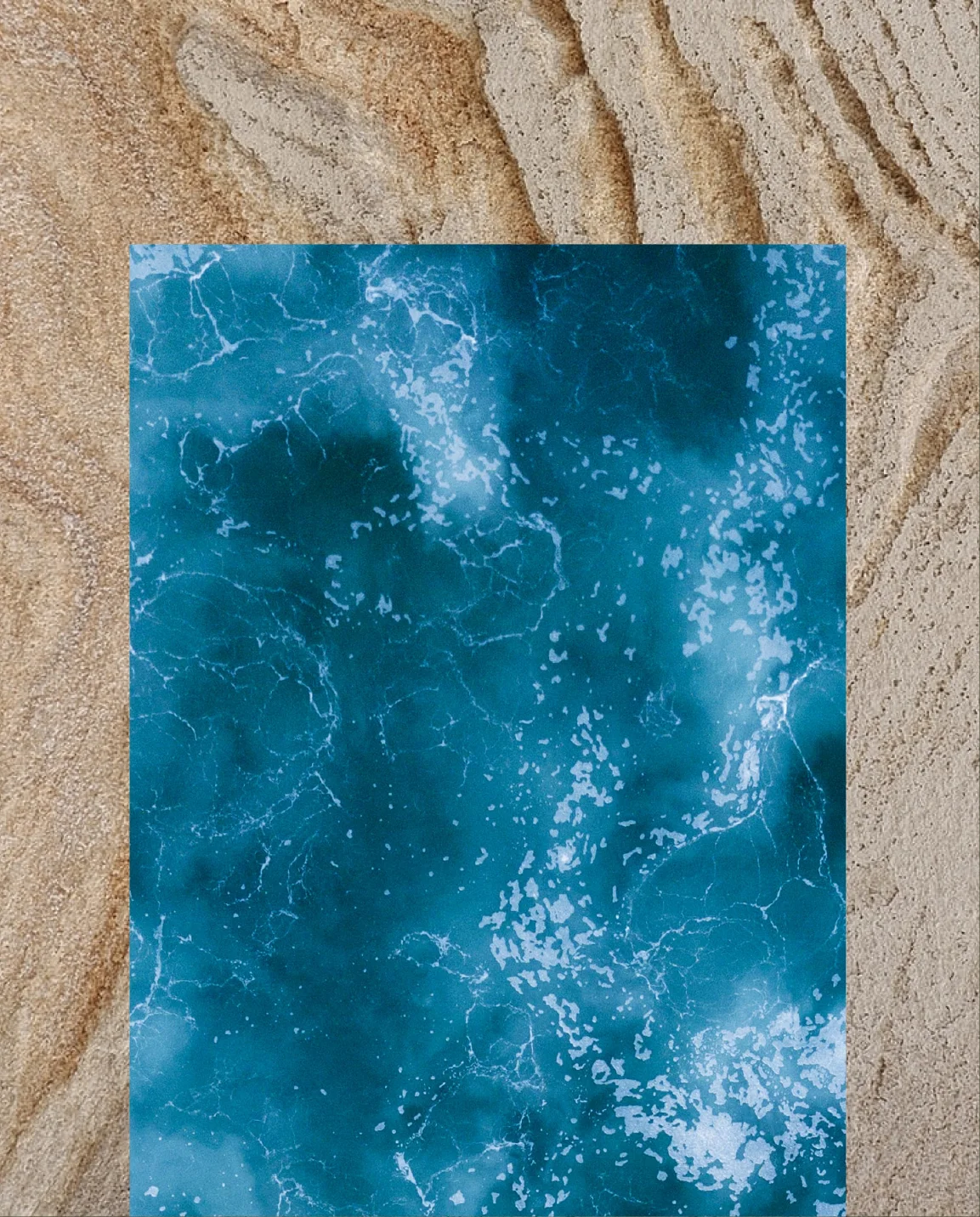Palm & Pine_Instagram Images_Batch 2_8.jpg