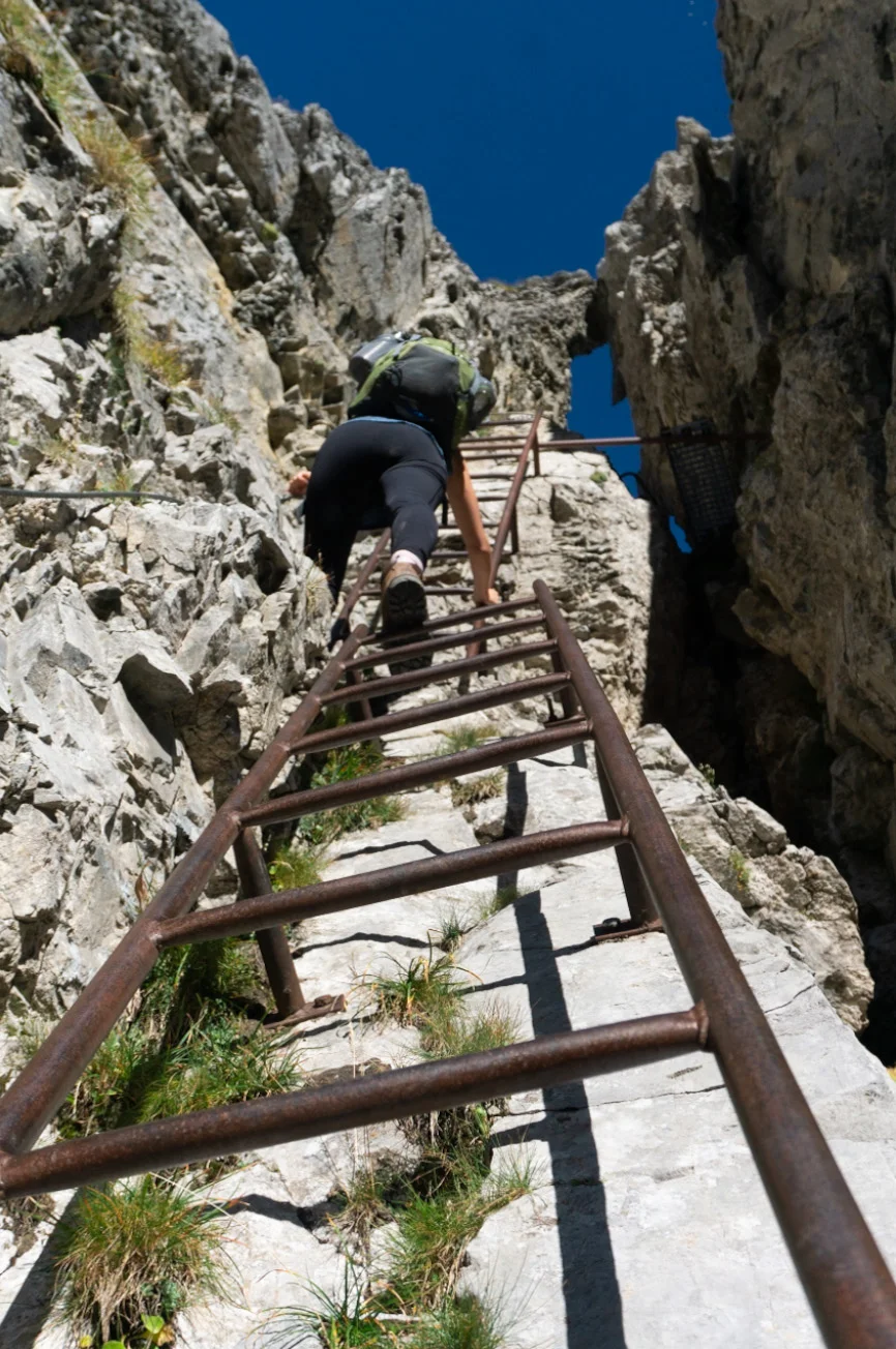 Dents blanche_ladders.jpg