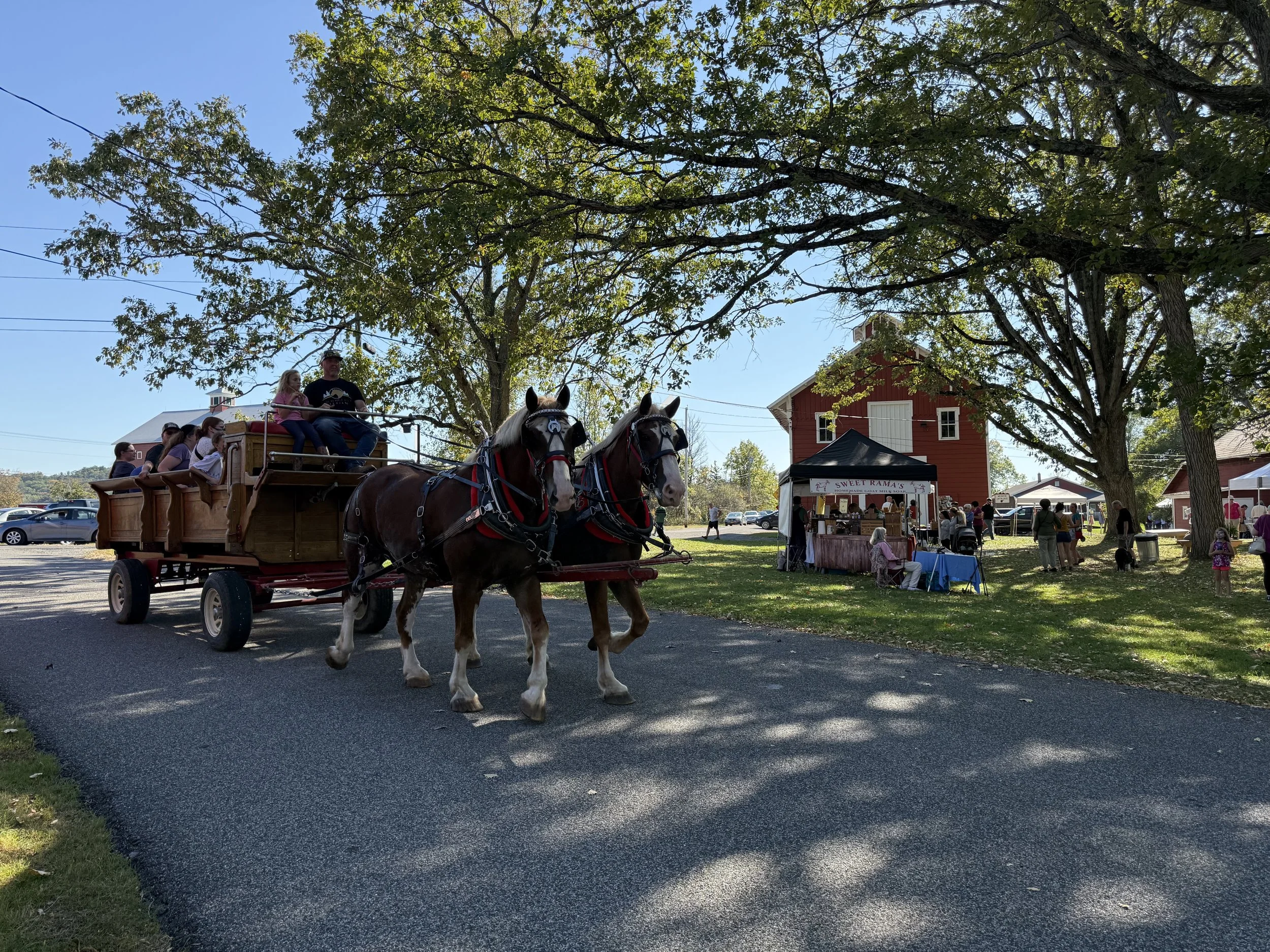 Heritage Craft Fair 1.jpg