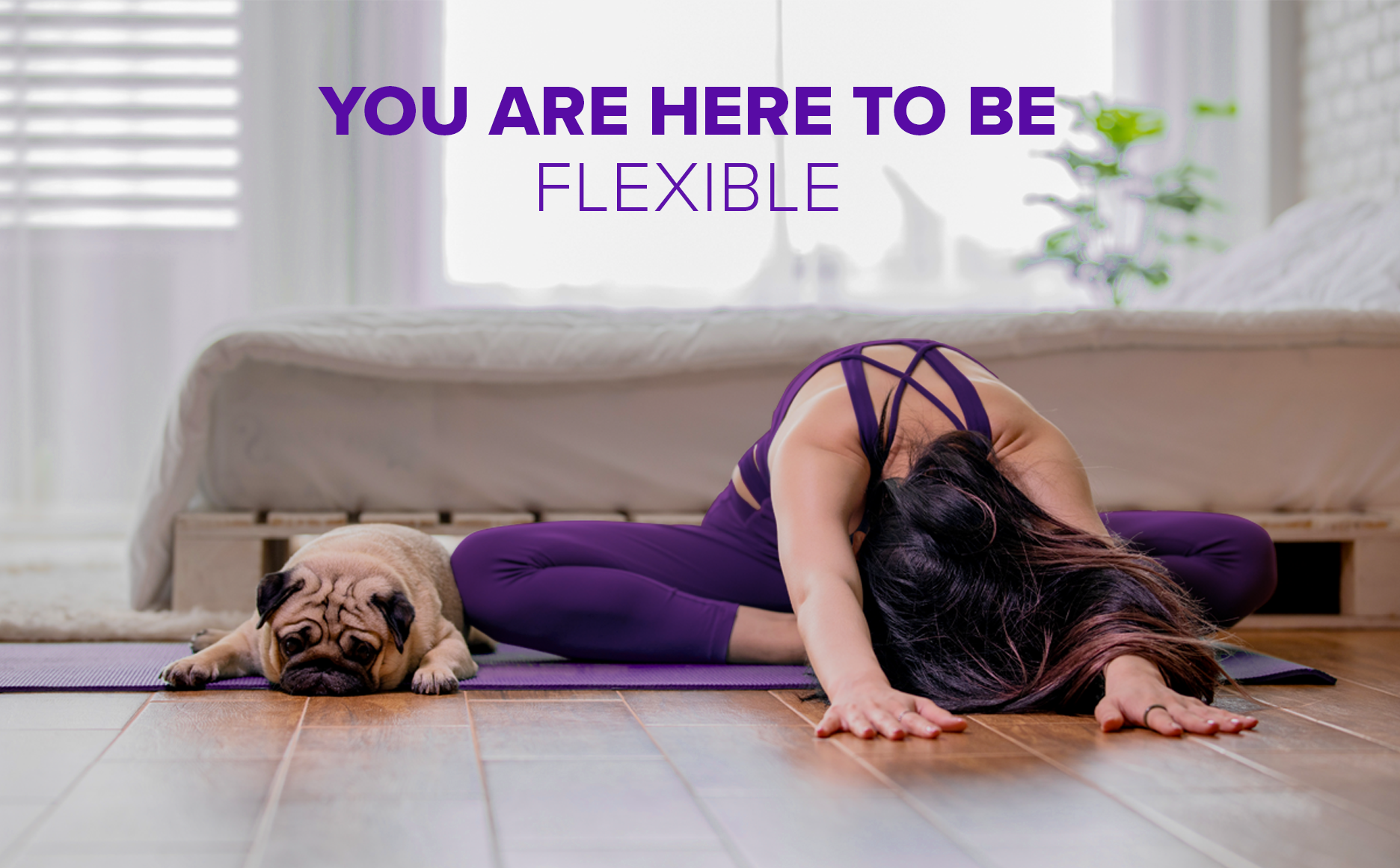you are here to be flexible