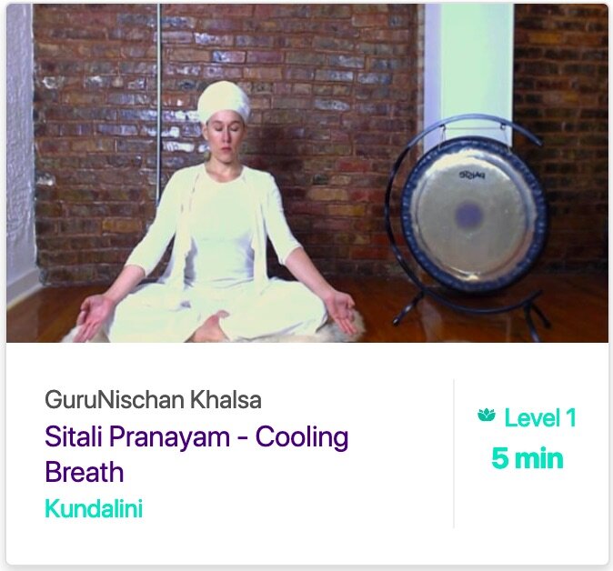 Sitali Pranayam cooling breath - GuruNischan Khalsa