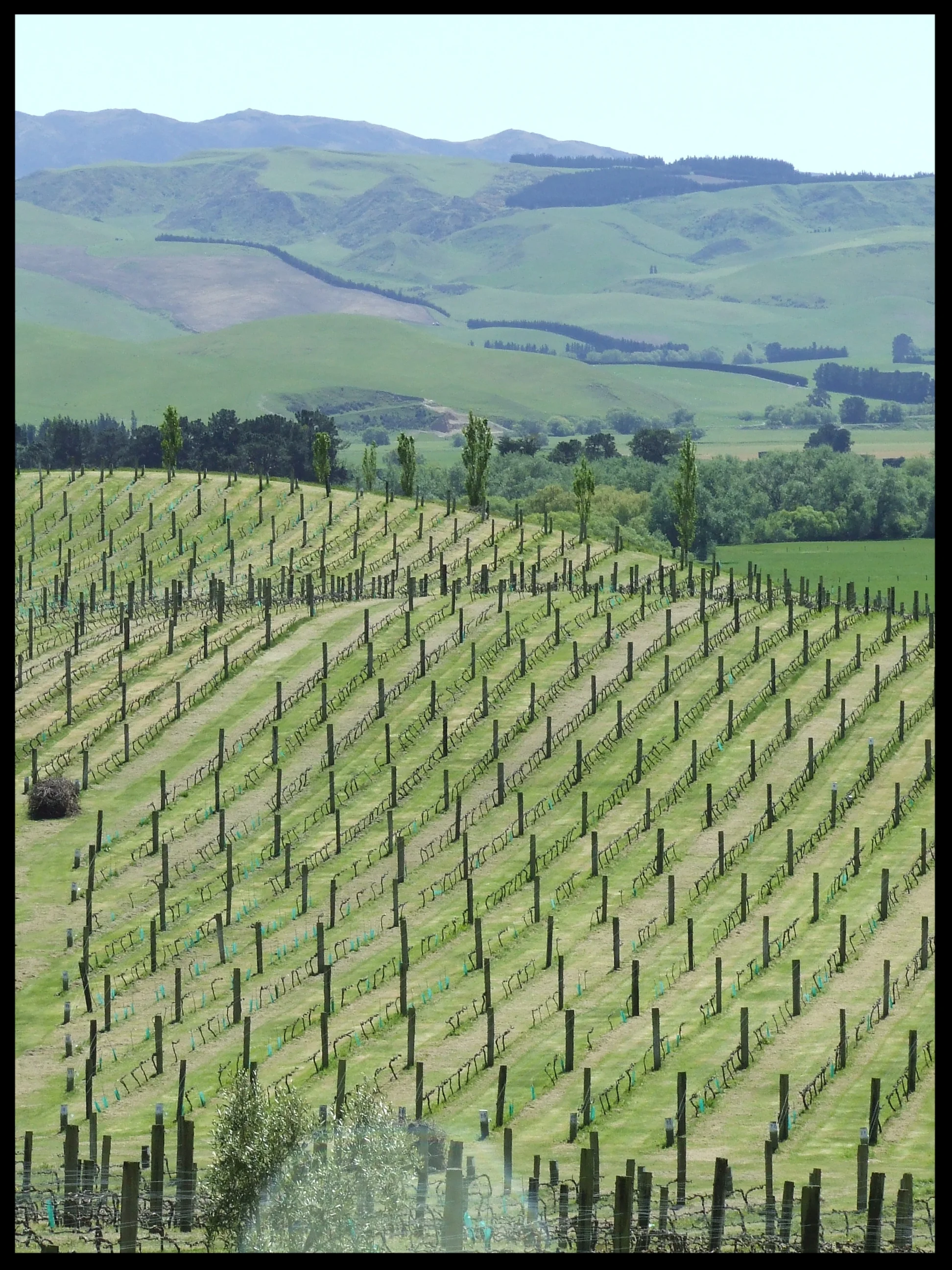  The landscape of home 