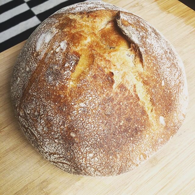 First kasu starter loaf, white with 10% kamut; overnight rise in fridge, just baked. Can&rsquo;t wait to try