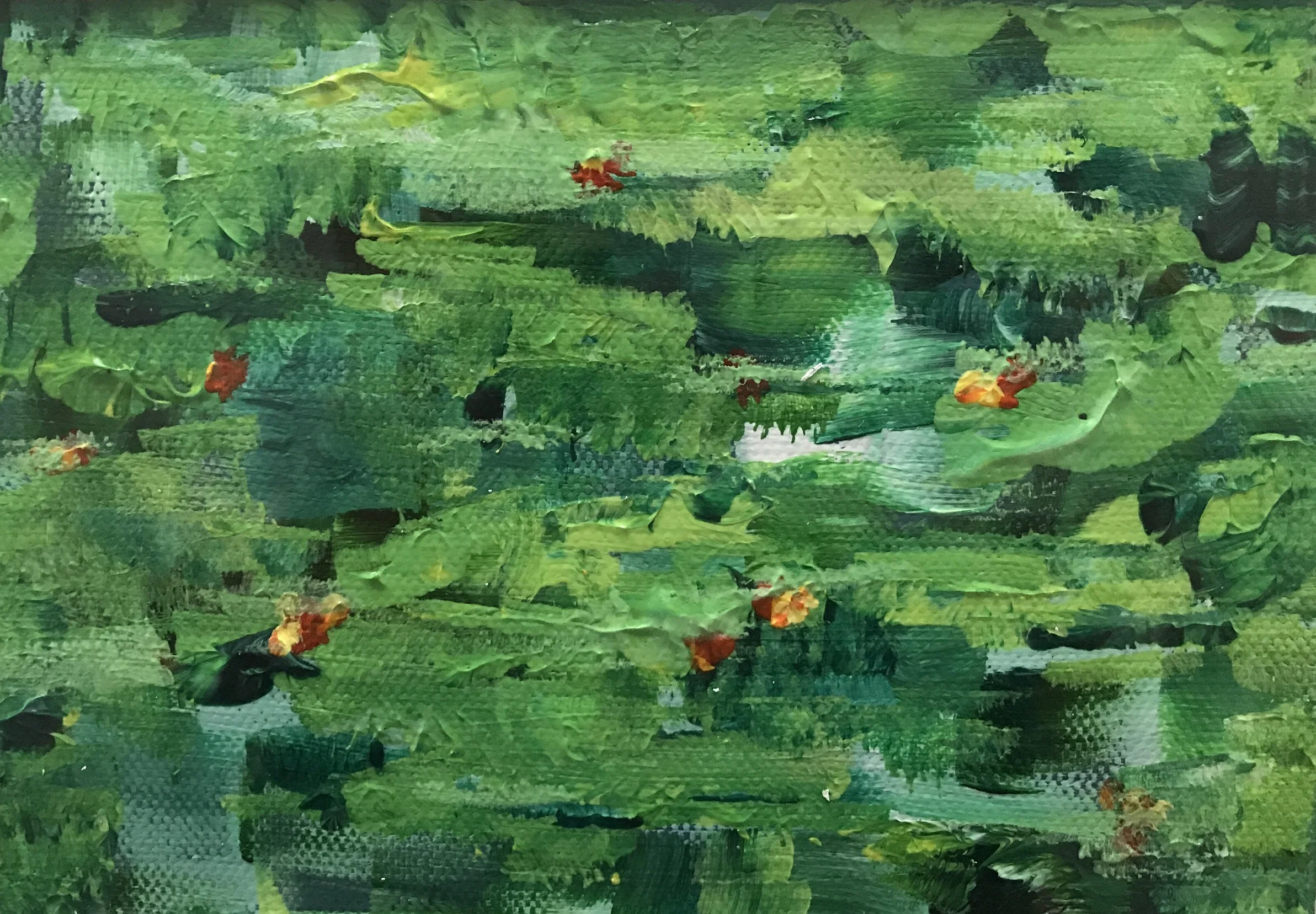 Koi