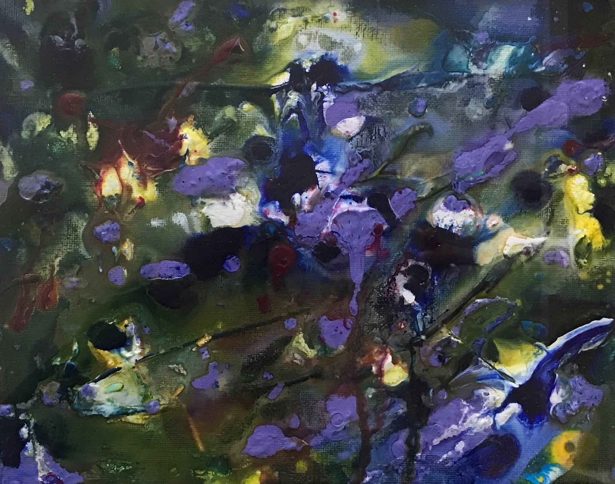 Violets of Dawn