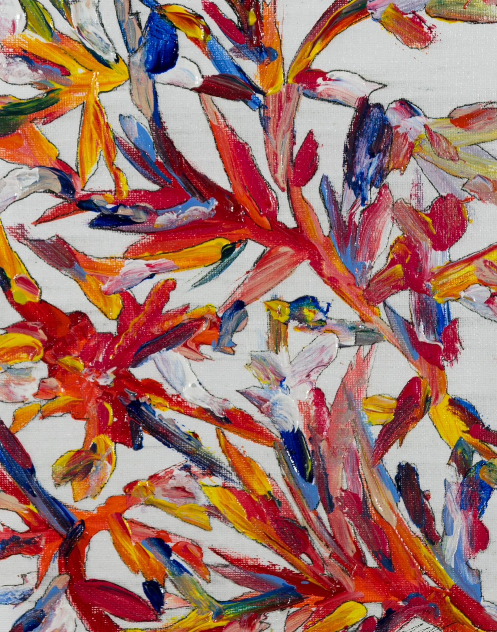 Birds of Paradise II