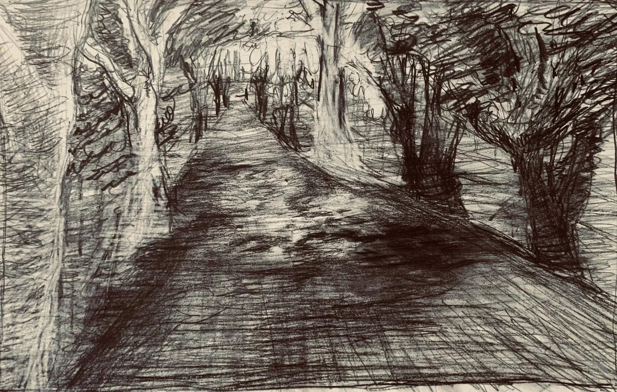 animation_class_bat_background.jpg