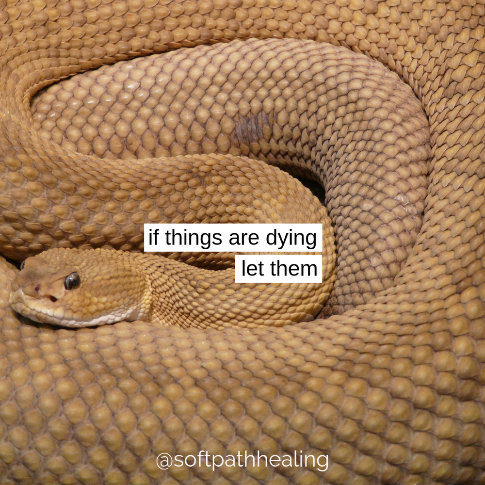 if things are dying, let them — Soft Path Healing