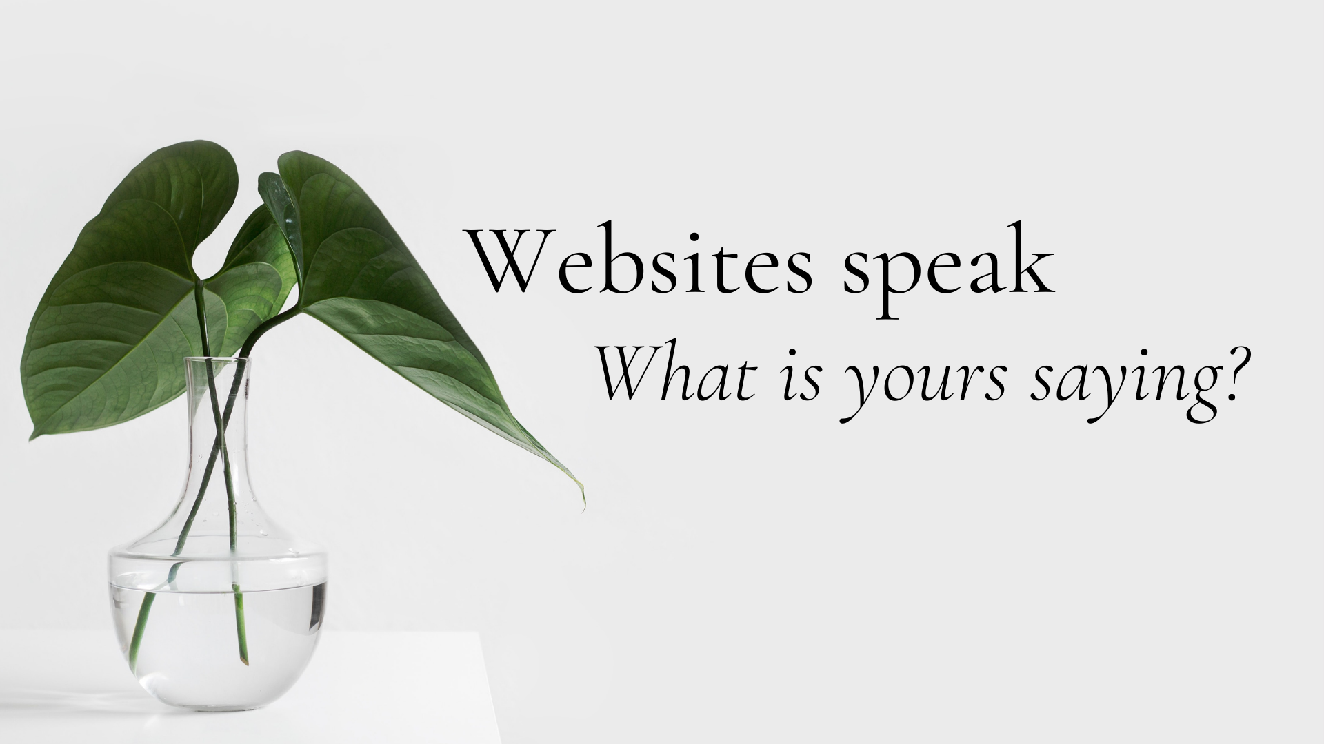 WEBSITE TRANSFORMATION Slides.png