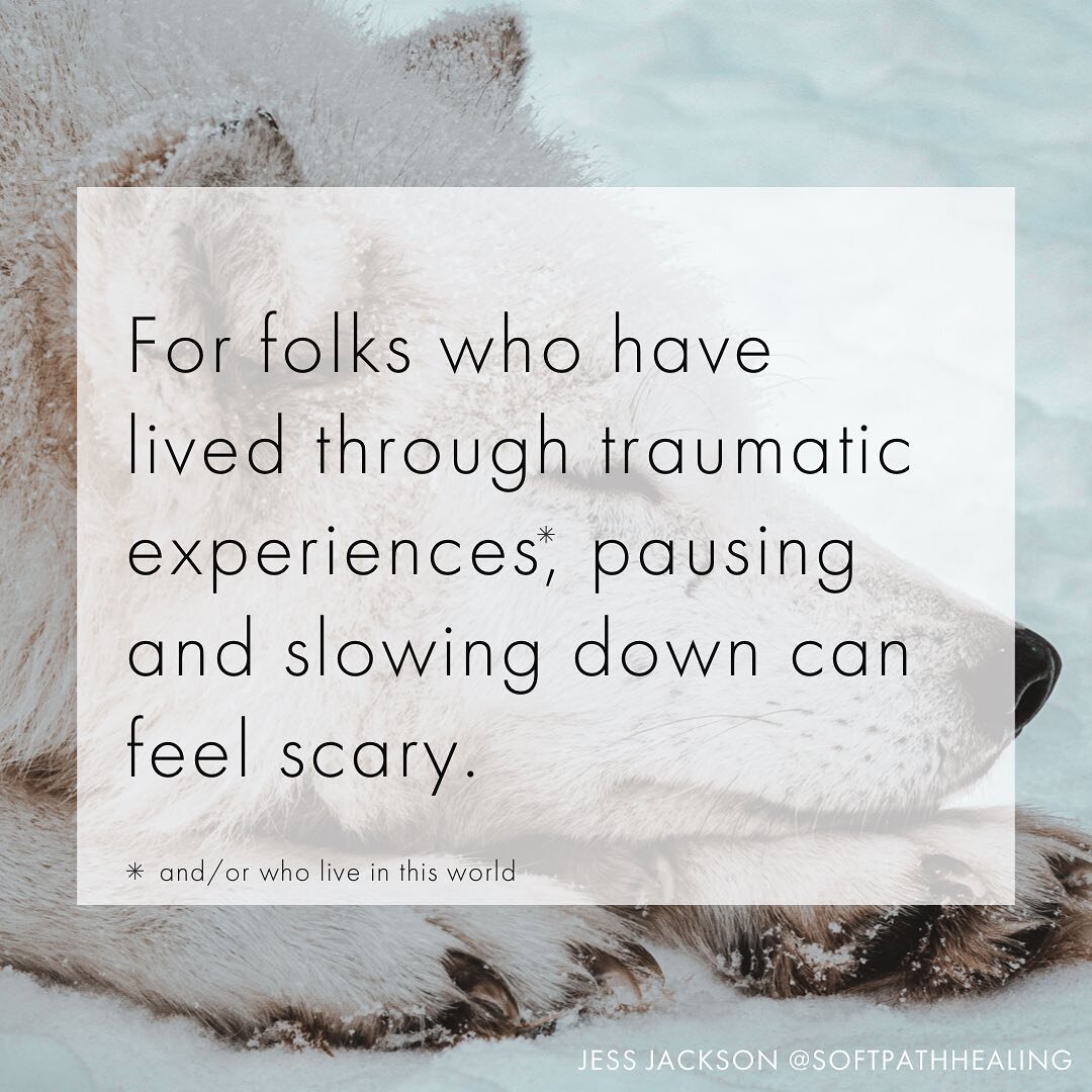 Pausing can be avoidant, can be difficult, AND pausing can be powerful.

In sessions, pauses are often potent. After doing, some being. Trying-something-new-on. Time without a practitioner talking or touching or intervention-ing.

We can integrate, s