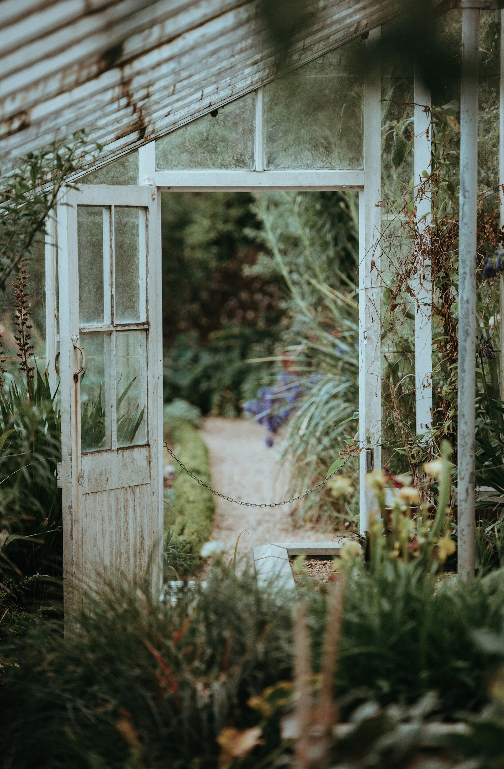 View through a rustic, weathered greenhouse door onto a garden with lush greenery and a gravel pathway.