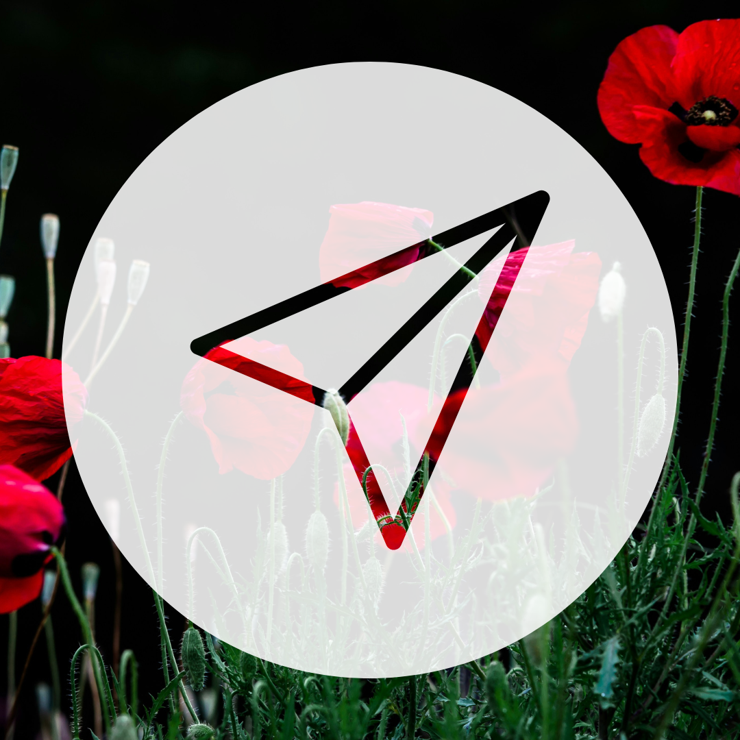 A background of red poppies and green foliage with a translucent white circle overlay and a black paper airplane icon.