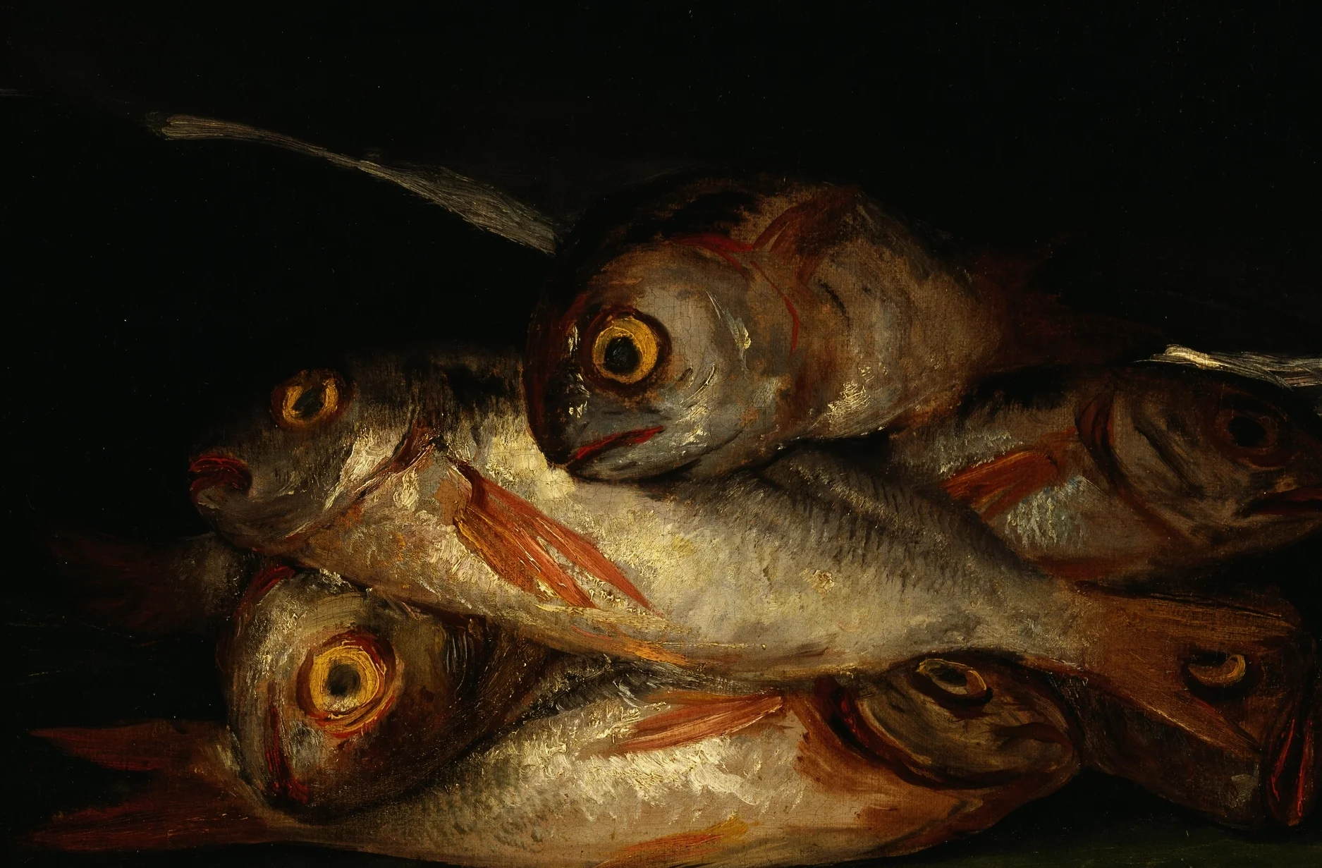 Goya Fish.jpg