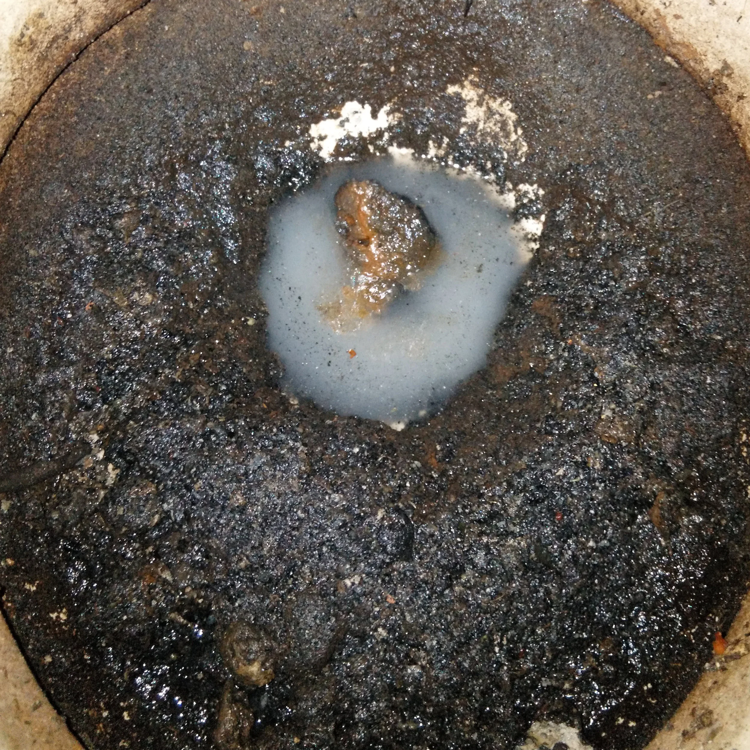 Greatest Shits 1 - Floaters (Cover Art 180408).jpg