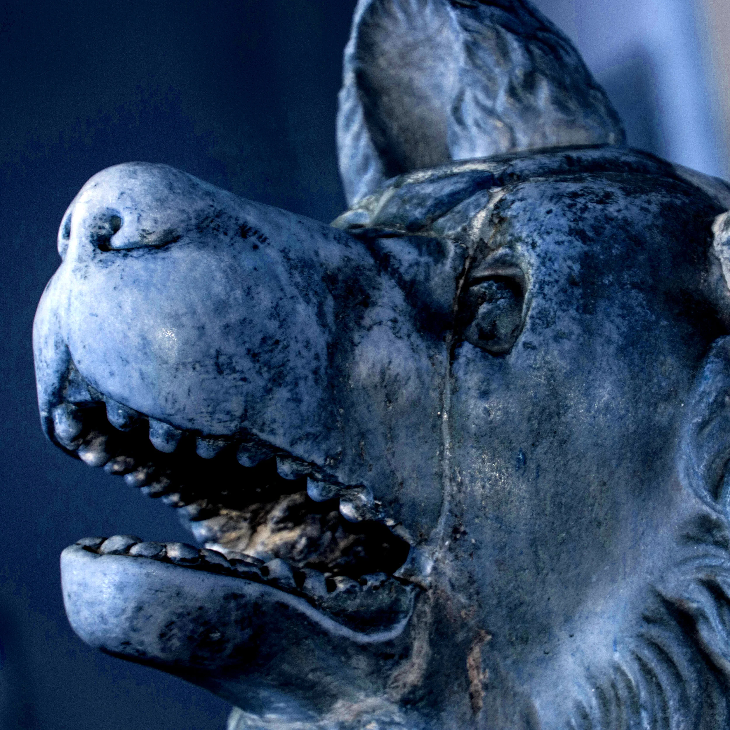 Raised by Uncles - Danglers.jpg