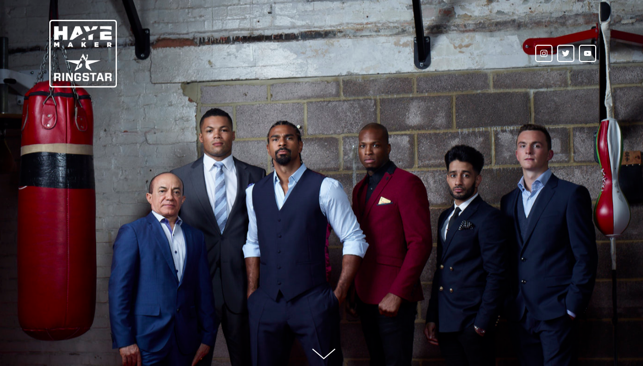 Hayemaker Ringstar Home Page.png