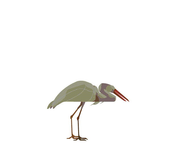 9f64c240868807.5796d525c236d.gif