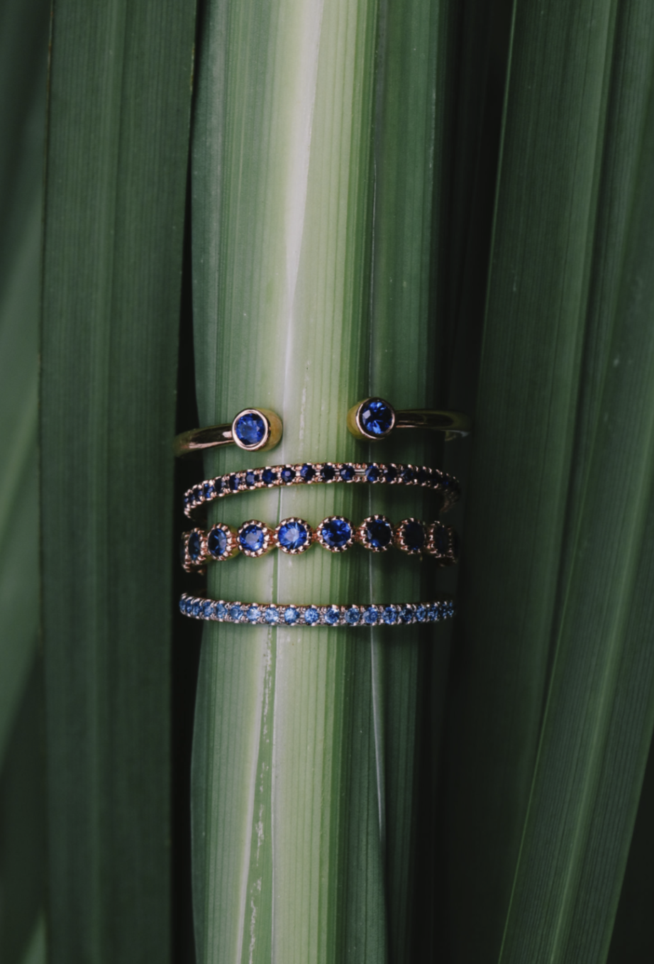 Screen Shot 2024-04-14 at 4.33.49 PM.png