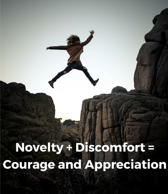 New Experience+ Discomfort + Courage and Appreciation.png
