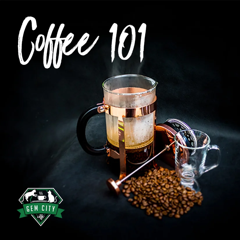Coffee 101