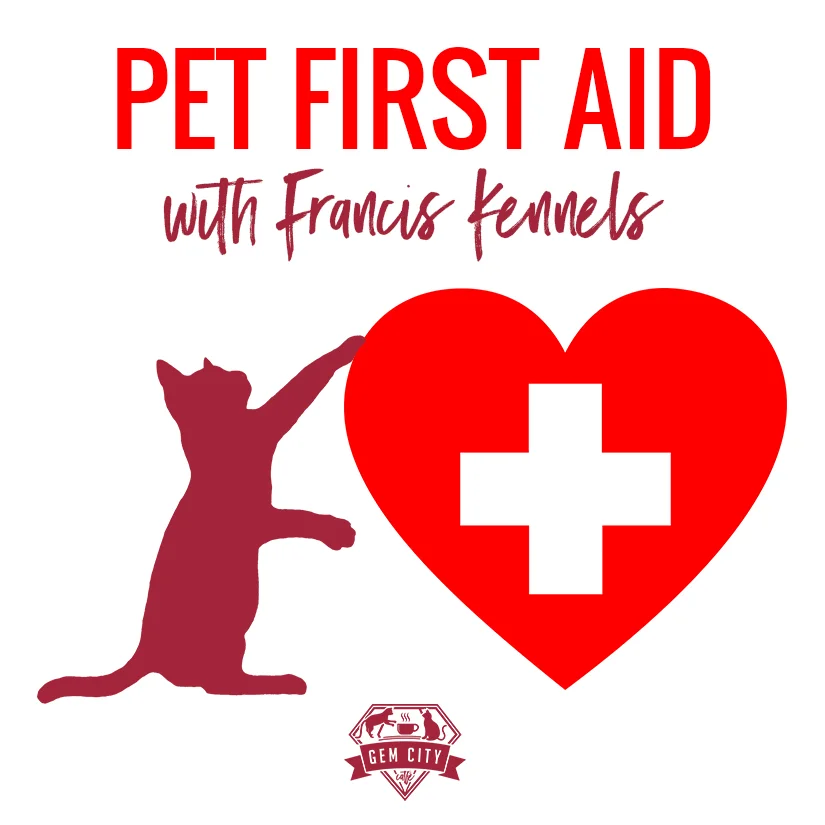 Pet First Aid