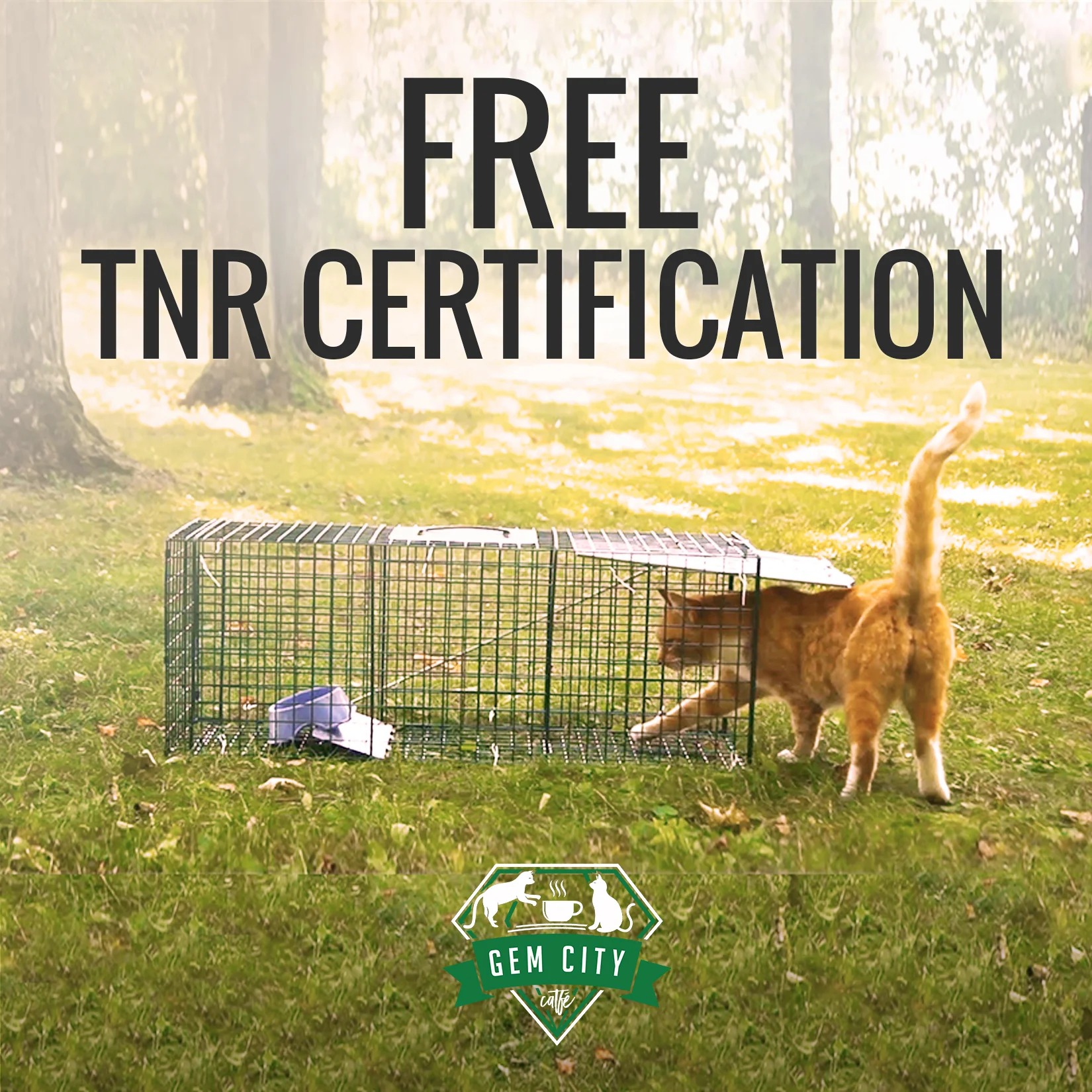 TNR Certification