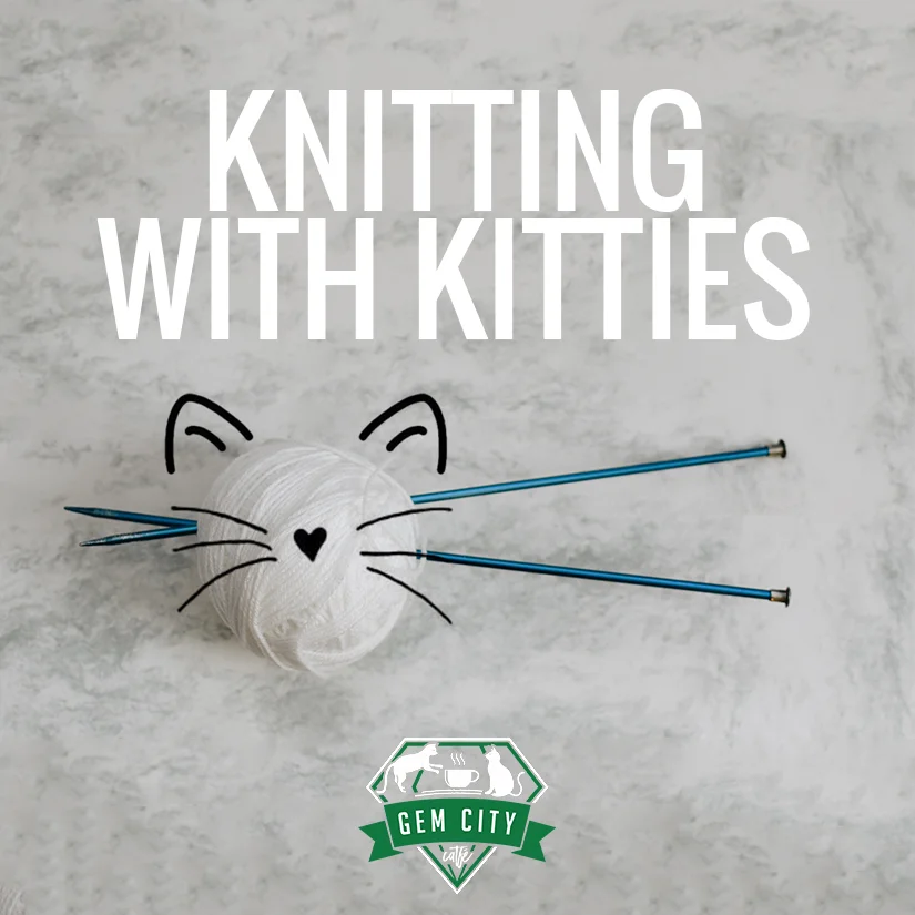 Knitting with Kitties