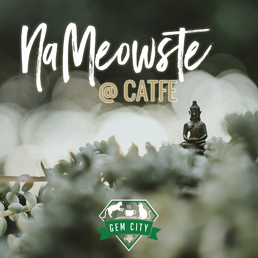 NaMeowSte at Catfe
