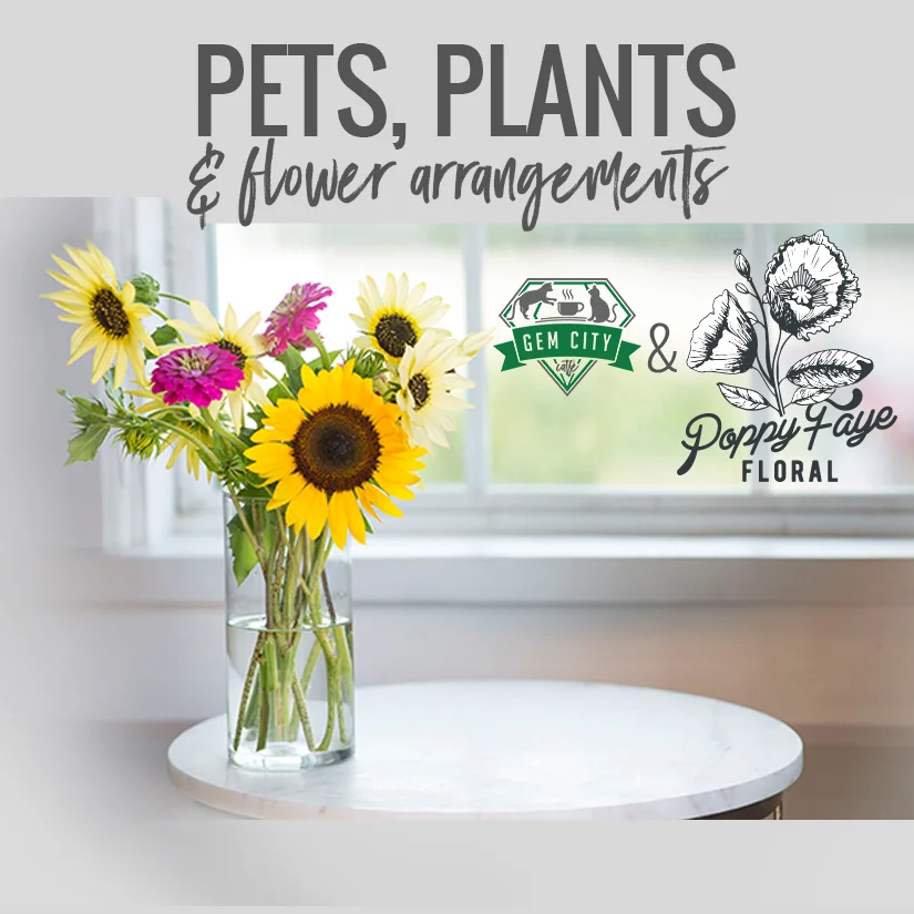 Pets, Plants, & Flower Arrangements 