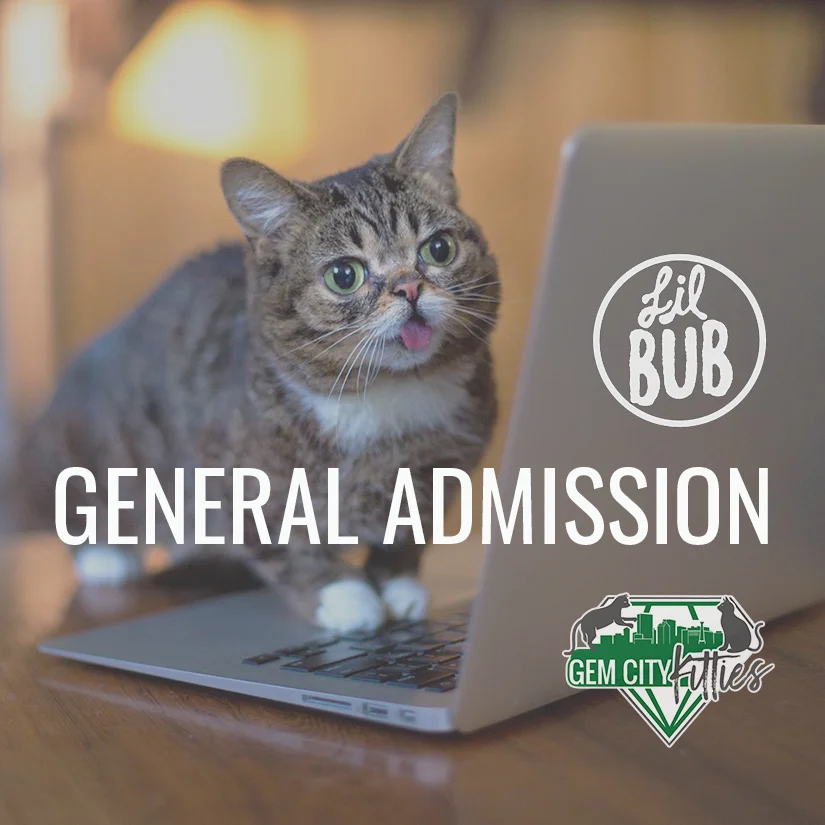 bubpresentationimage.jpg