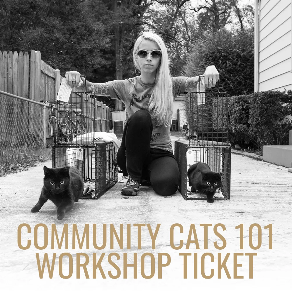 Kitten Lady - Community Cats 101 Workshop