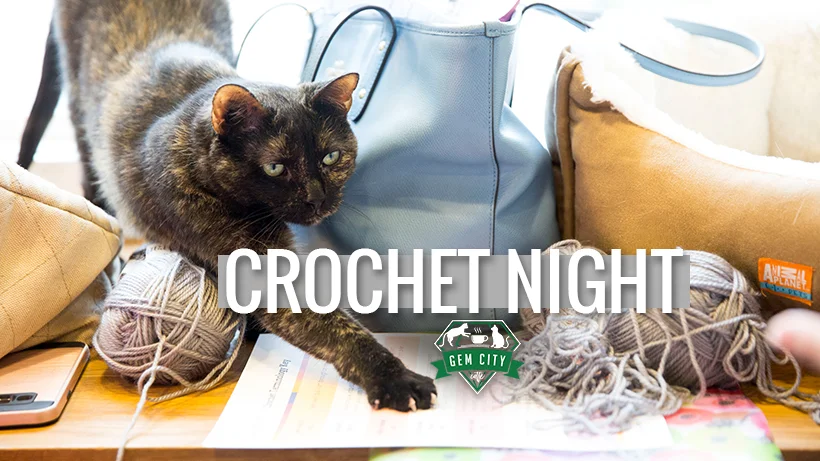 1.24.19_crochetwithcats_cover.jpg