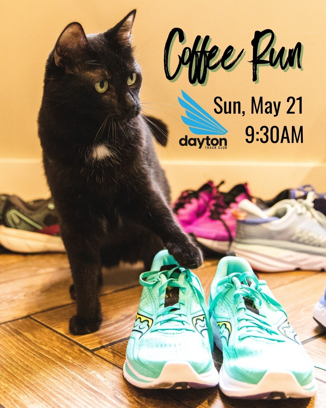 Calling all runners and kitty-lovers! 🏃&zwj;♀️🏃&zwj;♂️💨 Join us this Sunday, May 21 at 9:30AM on a Coffee Run for the Kitties with @daytontrackclub! Click on the link in our bio to register for the free event.⁠
⁠
Don't forget that during the month