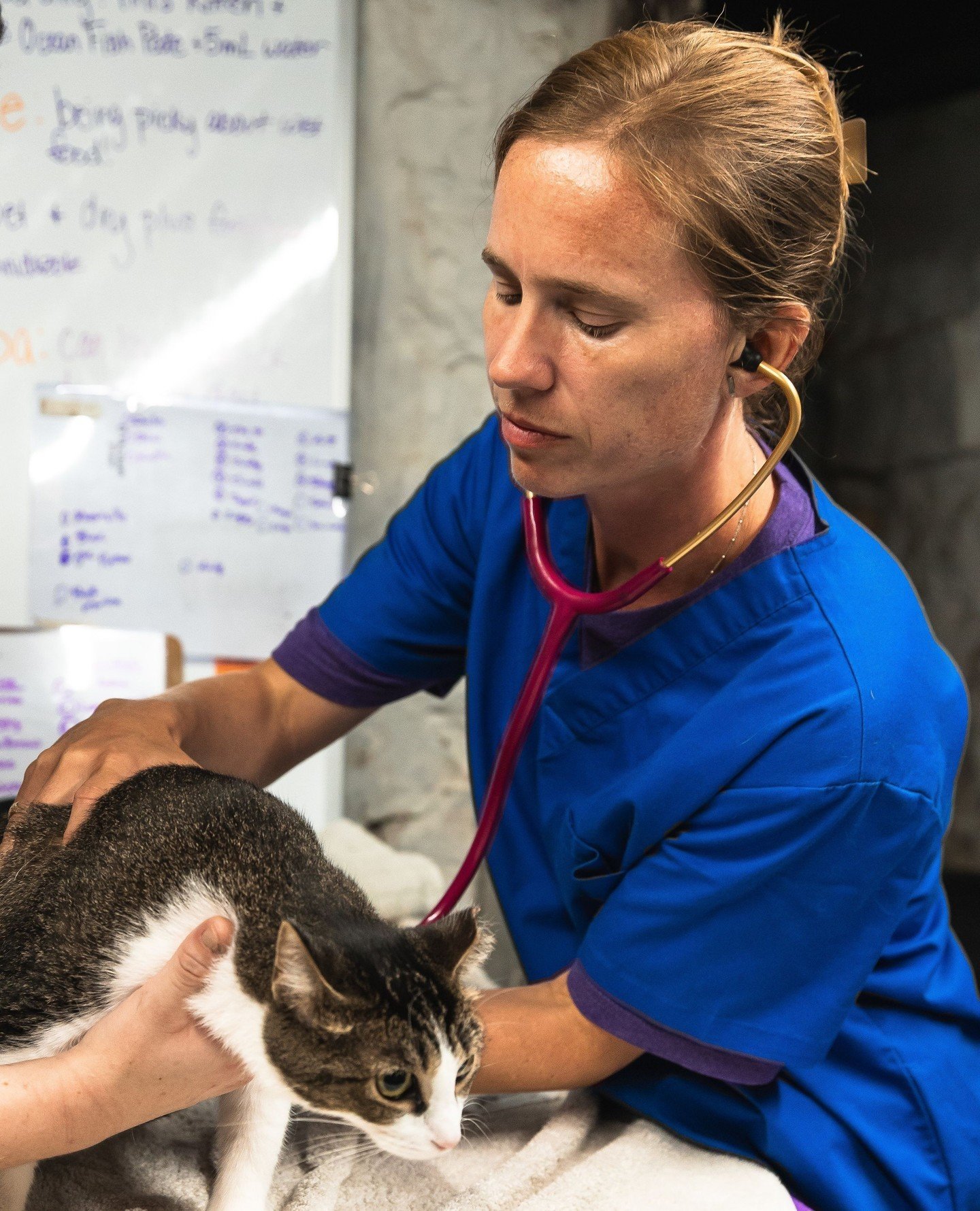 Happy World Veterinarian Day! 🐾 ⁠
⁠
THANK YOU to the veterinarians of the world who work so hard to keep our pets safe and healthy. 💕  And a very special heartfelt thank you to our very own Dr. Roth, Dr. Vansandt, and Dr. Chapman, who work with our