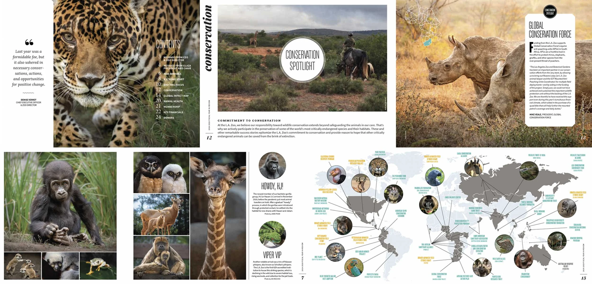 portfoliolayout-zoo-annualreport.jpg