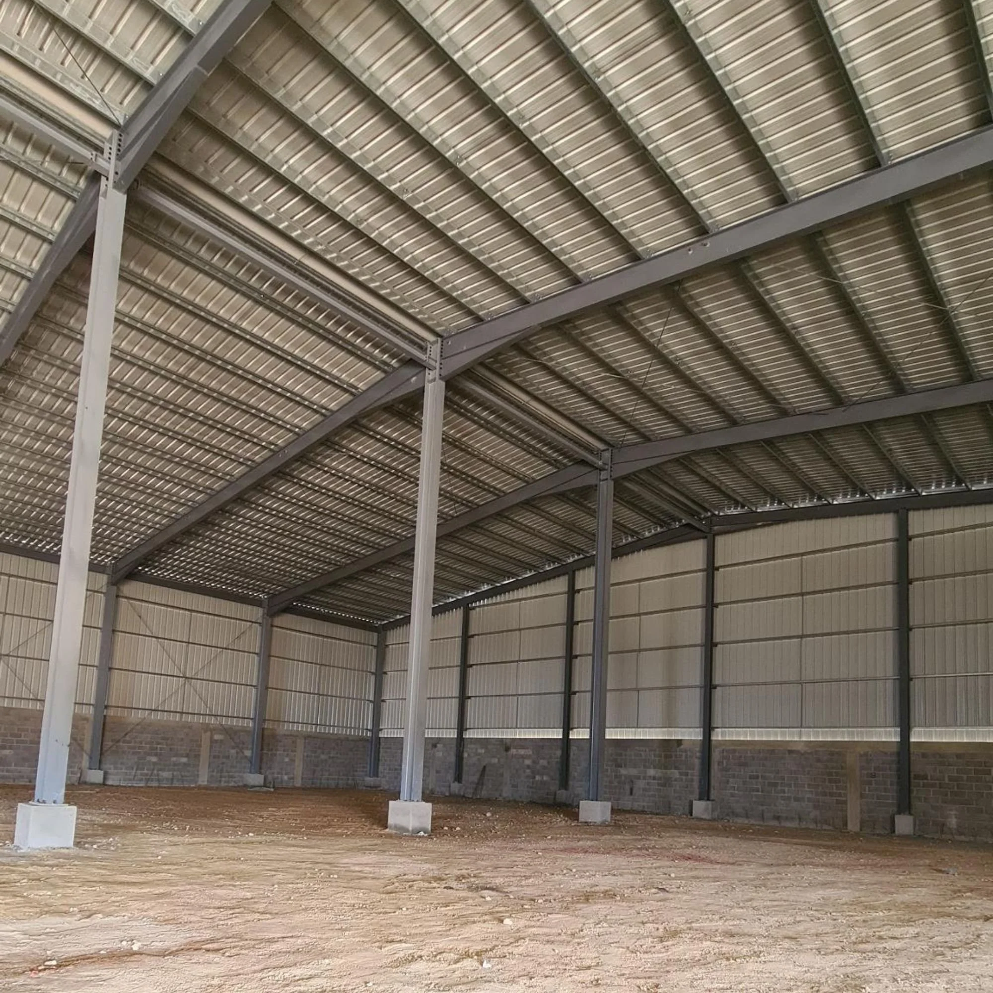 29.jpg