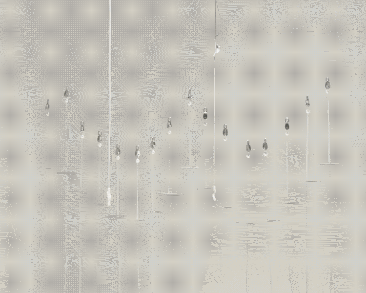 ezgif.com-optimize.gif