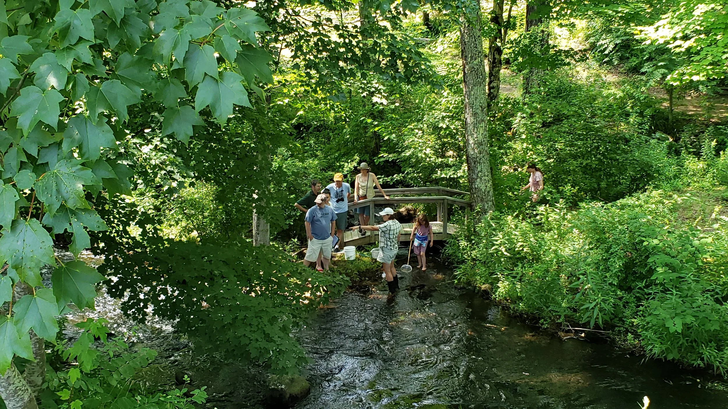 20190727_113804.jpg
