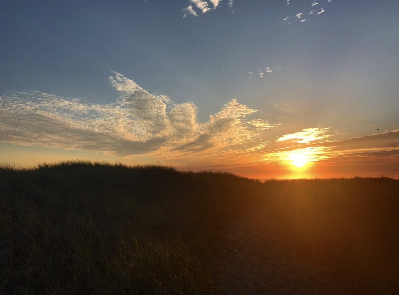 IMG_0698.jpeg