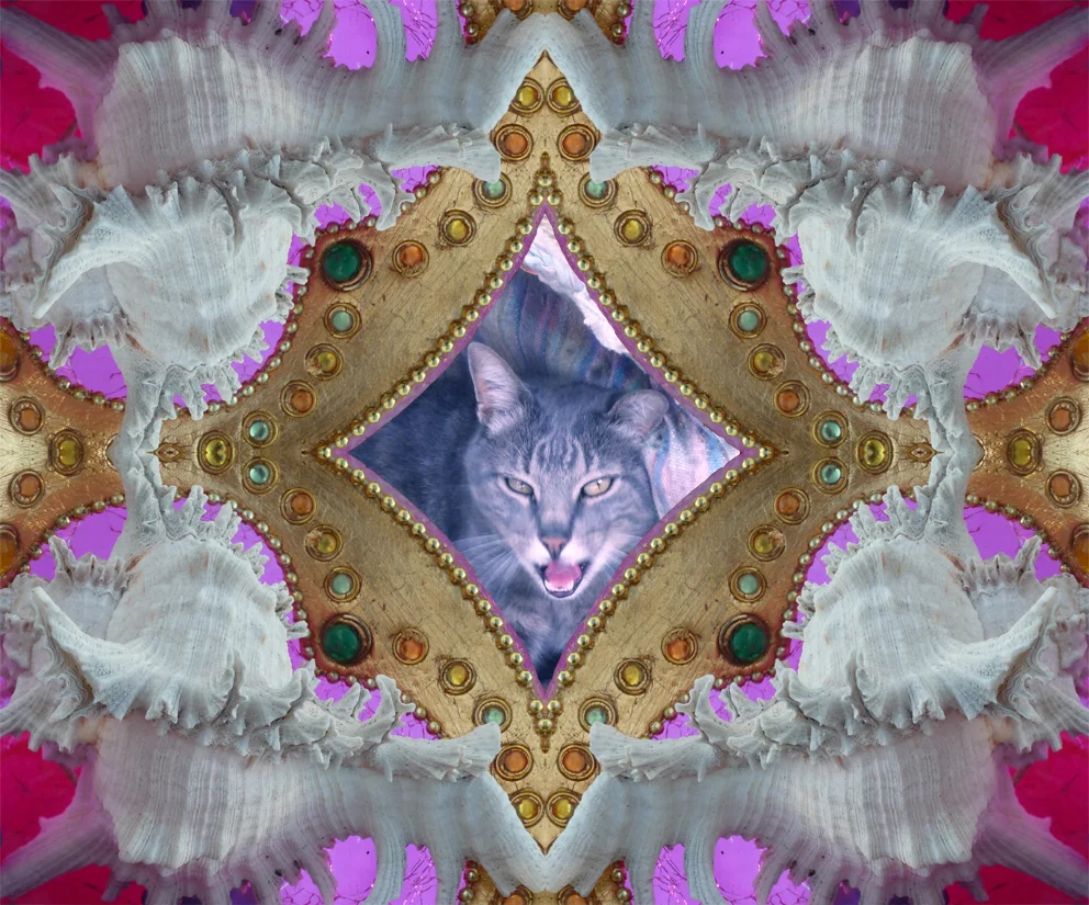 KITSCH KAT 1.jpg