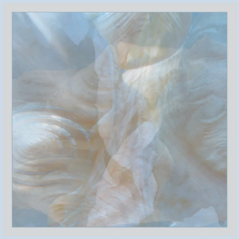Gauze Shell One