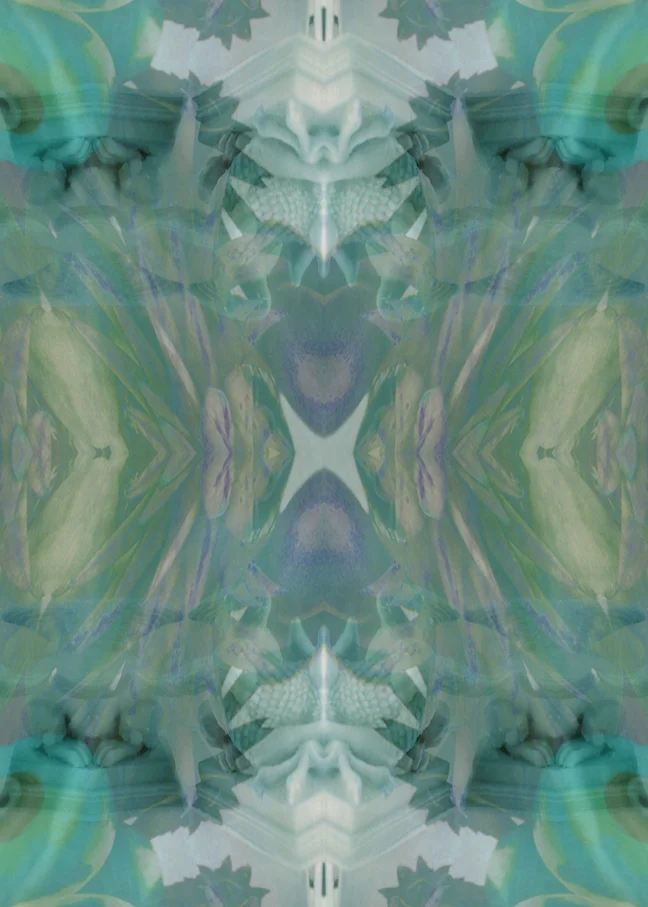 Desyre 2