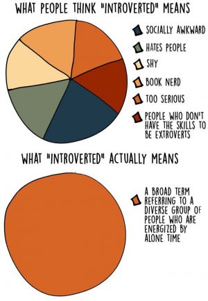 Meaning-of-introversion.jpg