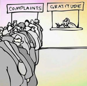 complaints-gratitude-do-you-put-enough-gratitude-out-there.png